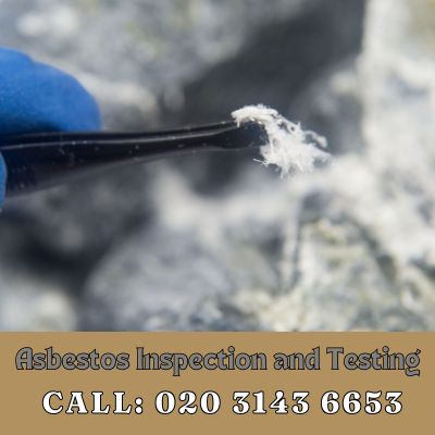 Comprehensive Asbestos Inspection and Testing Services in St Mary Cray